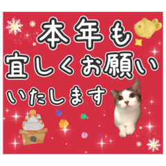 [LINEスタンプ] Xmas年末年始毎日使えるユメちゃんの日常④