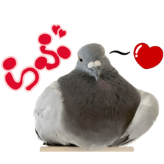 [LINEスタンプ] 鳩のポックルさん