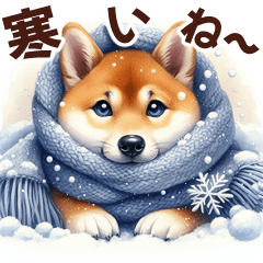 [LINEスタンプ] 年中使える柴ちゃん＊冬多め＊Xmas年末年始