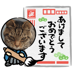 [LINEスタンプ] ねこ好きあつまれ！