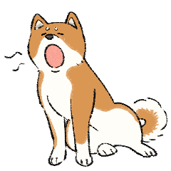 [LINEスタンプ] やっぱ柴犬〜