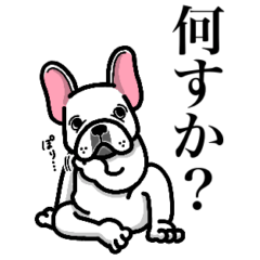 [LINEスタンプ] フレンチブルドッグですが何か？ 1