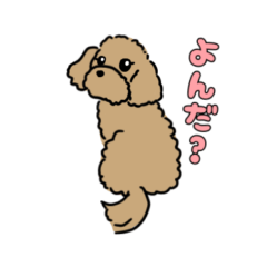 [LINEスタンプ] トイプーのむぎくん