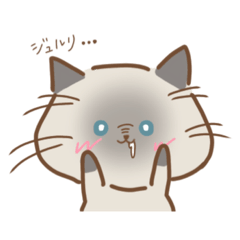 [LINEスタンプ] ぽっちゃり猫のこた