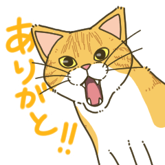 [LINEスタンプ] 表情が豊かなネコのスタンプ【日常】