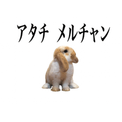 [LINEスタンプ] メルチャンスタンプ