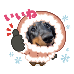 [LINEスタンプ] まろ犬モカの誉め言葉