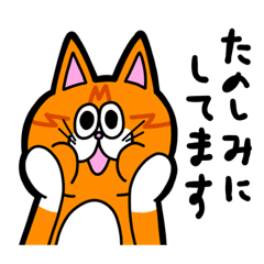 [LINEスタンプ] ていねいなちゃんみー