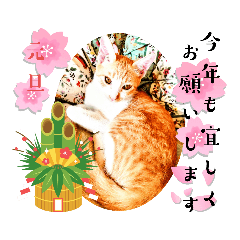 [LINEスタンプ] あいさつはなちゃん