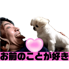 [LINEスタンプ] この世のものでないプチ