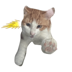 [LINEスタンプ] きょむのすけ