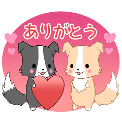 [LINEスタンプ] 飛び出す！ちびボーダーコリー5【日常】