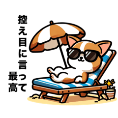 [LINEスタンプ] チワワな毎日(メッセージあり)