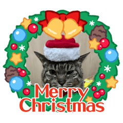 [LINEスタンプ] Christmasスタンプ（2023）