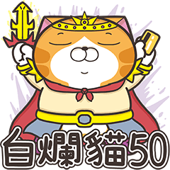 [LINEスタンプ] ランラン猫 50 (台湾版)