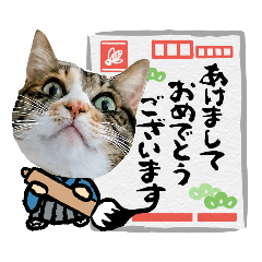 [LINEスタンプ] うちのねこ☆あけおめ＆クリスマス