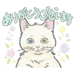 [LINEスタンプ] きちんと敬語ディノちゃん。