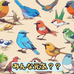 [LINEスタンプ] 世界の鳥の言葉