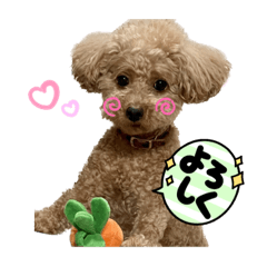 [LINEスタンプ] サーシャChan