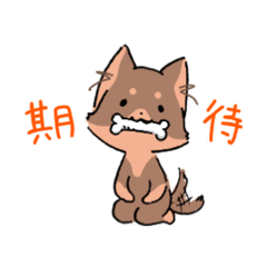 [LINEスタンプ] チワワのちわすけ