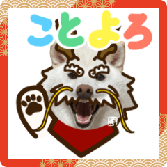 [LINEスタンプ] 2024新年用白柴犬スタンプ（実写）