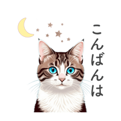 [LINEスタンプ] 猫と星空⭐︎