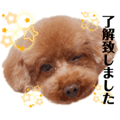 [LINEスタンプ] こてあーず