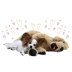 [LINEスタンプ] ゆずちゃんすたんぷ！