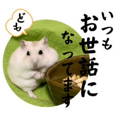 [LINEスタンプ] ハムスター金平くん