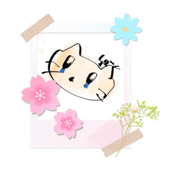 [LINEスタンプ] かわうぃ〜ネコちゃん