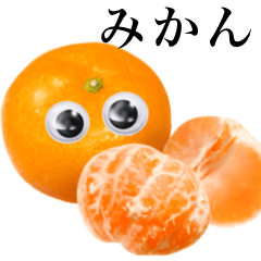 [LINEスタンプ] 【グーグリーズ】みかん 編の画像（メイン）