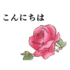 [LINEスタンプ] お花と挨拶のスタンプ