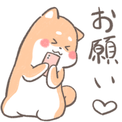 [LINEスタンプ] ほわほわいぬさん・ガチャ