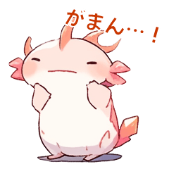 [LINEスタンプ] あざとかわいい両生類（？）がいっぱい