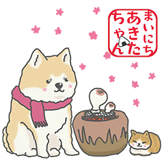 [LINEスタンプ] 冬のあいさつ秋田犬あきたちゃん