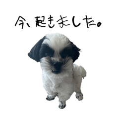 [LINEスタンプ] ワンぱく犬