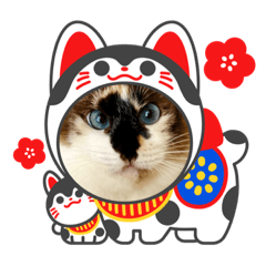 [LINEスタンプ] ねこのぱとちゃんウニちゃん⑤