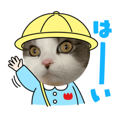 [LINEスタンプ] 我が家の3にゃん⑥