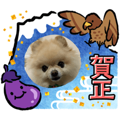 [LINEスタンプ] アイスの正月スタンプ