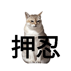 [LINEスタンプ] はるpart5