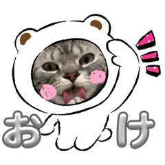 [LINEスタンプ] 我が家の3にゃん⑦