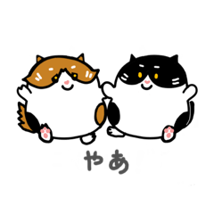 [LINEスタンプ] 猫の三八