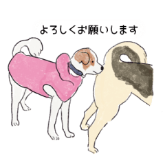 [LINEスタンプ] 今日の保護犬＠キドックス