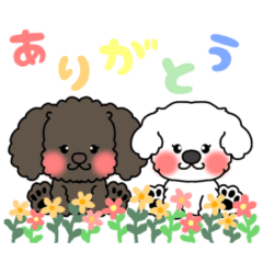 [LINEスタンプ] かわいい仲良しわんこ達