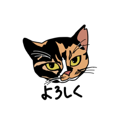 [LINEスタンプ] My best of cat “Mii”