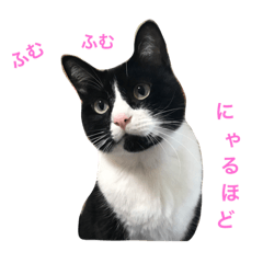 [LINEスタンプ] はちロボ8-2
