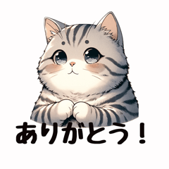 [LINEスタンプ] まいにち猫〜日常〜