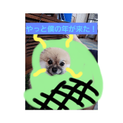 [LINEスタンプ] キュートなペット達龍年お正月ばん