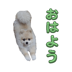 [LINEスタンプ] ルークの番ですLINEスタンプ2