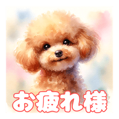 [LINEスタンプ] トイプードル水彩画風